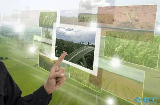 政策信号:农业+区块链是大趋势!