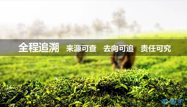 区块链溯源技术能解决食品安全问题吗？