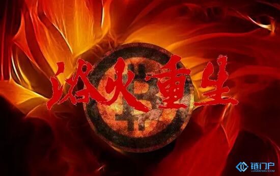币圈已凉，Token重生
